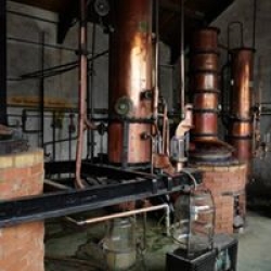 our distillery