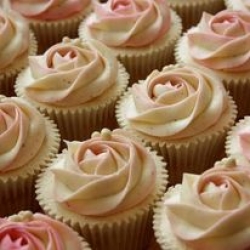 cup cakes