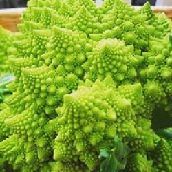 Romanesco Cauliflower