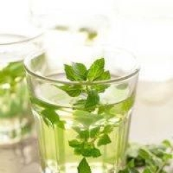 healthy fresh mint tea