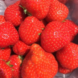 yummy strawberries