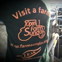 open farm Sunday