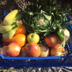 fruit & veg boxes