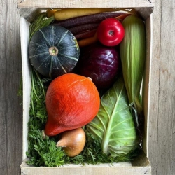 autumn veg box