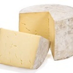 great cheese