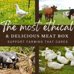the most ethical meat box