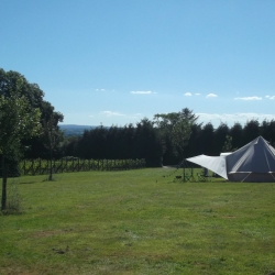 Vineyard camping