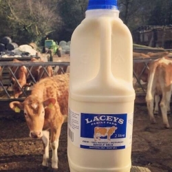 local milk