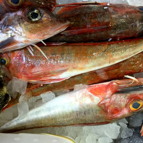 Eddie's Seafood Market, Edinburgh, EH9 1JH, fresh fish Big Barn