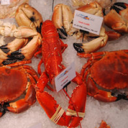 Crab & lobster