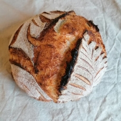 White Sourdough bread