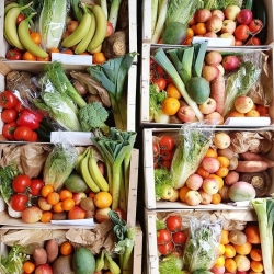large fruit and veg box