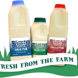 Lune Valley Dairy