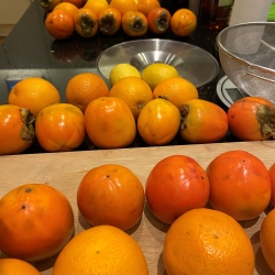Persimmons ready to cook