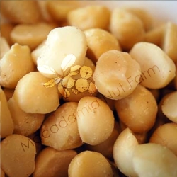Roasted macadamia nuts