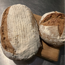 sourdough