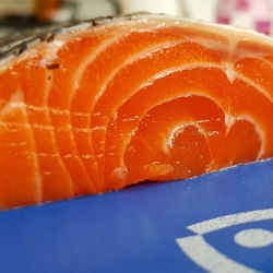 Wester Ross Salmon