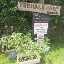 Trehale Farm
