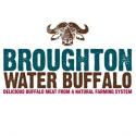 Broughton Water Buffalo