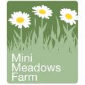 Mini Meadows Farm