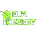 Elm Nursery and Farm Shop