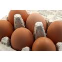 Barry's eggs