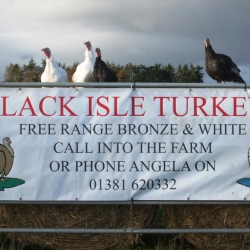 Black Isle Turkeys
