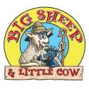Big Sheep+Little Cow