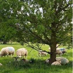 Cropwell Farm Shop
