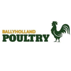Ballyholland Poultry