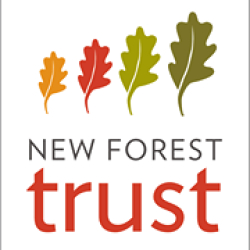 New Forest Trust
