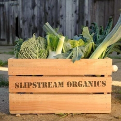 Slipstream Organic