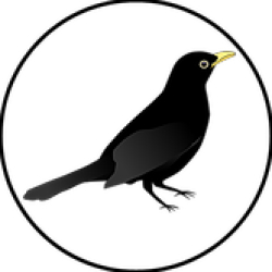 Blackbird Cottage Foods
