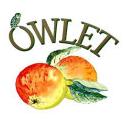 Owlet Pure English Apple Juice