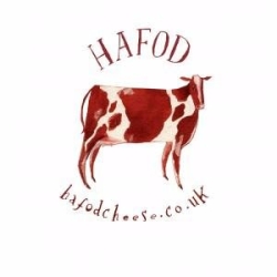 Hafod Welsh Organic Cheddar