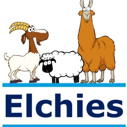 Elchies Goat Co