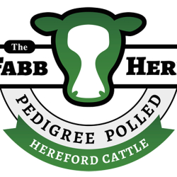 Fabb Herd Polled Herefords