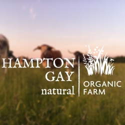 Hampton Gay Natural