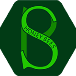 BS Honey Bees