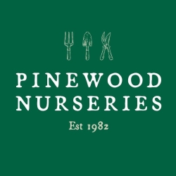 Pinewood Nurseries