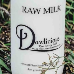Dawlicious Raw Milk & Ice Cream