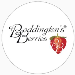 Boddington's Berries