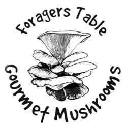 Foragers Table Gourmet Mushrooms