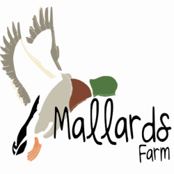 Mallards Farm Market Garden
