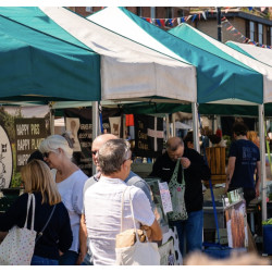 Falmouth Farmers Market