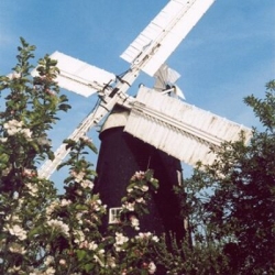 Fosters Mill