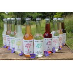 Posh Pop Spring Collection by Breckland Orchard