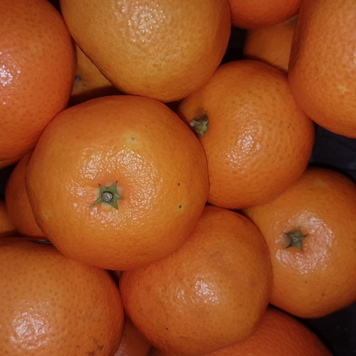 ORGANIC 500g CLEMENTINES