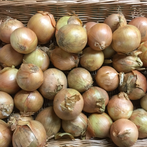 Cooking Onion