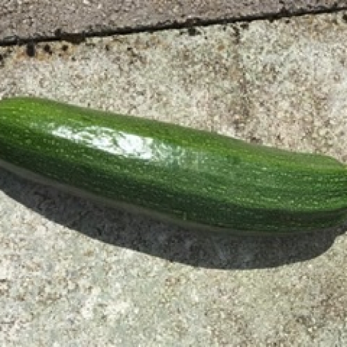 Courgette
